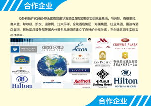 酒店管理專業 從入門到精通的魅力解讀